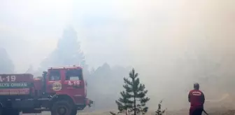 Alanya'da orman yangını kontrol altına alındı