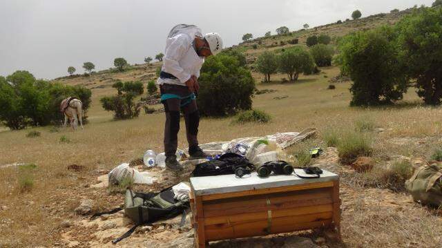 Beden öğretmeni, hobi olarak toplamaya başladığı kaya balının kilosunu 1000 liradan satıyor Beden öğretmeni, hobi olarak toplamaya başladığı kaya balının kilosunu 1000 liradan satıyor