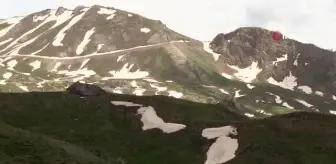 Ülkedeki göçerler Şırnak yaylalarına akın ediyor