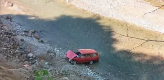 Giresun'da otomobilin dereye devrilmesi sonucu 2 kişi yaralandı