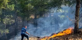 Hatay'da çıkan örtü yangını kontrol altına alındı