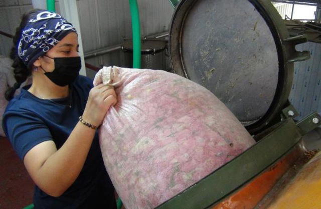 Gül yağının litresi 7 bin liraya kadar alıcı buluyor Gül yağının litresi 7 bin liraya kadar alıcı buluyor