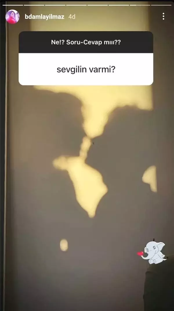 İşte Biran Damla Yılmaz'ın sır gibi sakladığı sevgilisi!