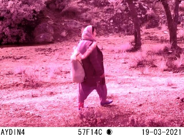 Fotokapana taş atan kadının ne yaptığını kimse anlayamadı Fotokapana taş atan kadının ne yaptığını kimse anlayamadı