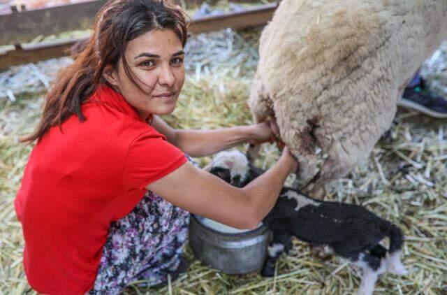 İşkenceci kocasını öldüren Melek İpek, yaralarını ailesinin çiftlik evinde sarıyor