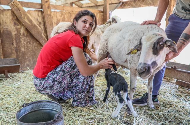 İşkenceci kocasını öldüren Melek İpek, yaralarını ailesinin çiftlik evinde sarıyor