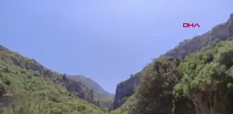 Datça'da orman yangını