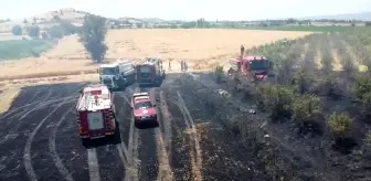 İzmir'de büyük arazi yangını: 40 dönüm arazi kül oldu