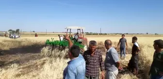 Buğday tarlasında yangın nöbeti