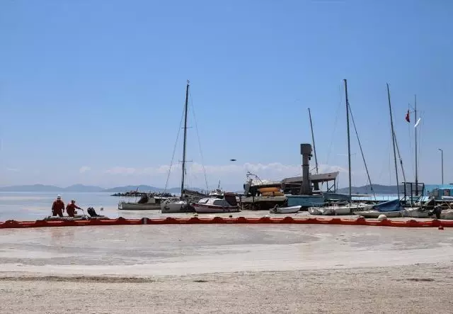 Marmara Denizi'nde kabusa dönen deniz salyasını temizleme çalışmaları başladı