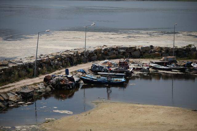 Marmara'yı yavaş yavaş öldüren deniz salyası Erdek kıyılarını kapladı