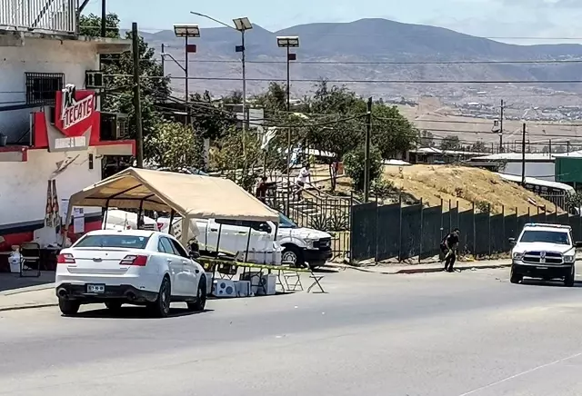 Meksika'da kanlı seçim! Sandık başında bekleyenler ceset parçası fırlattılar