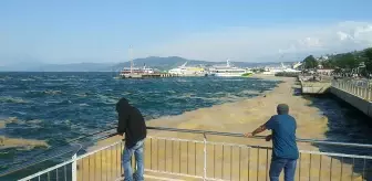 Mudanya kıyılarında müsilaj temizliği sürüyor