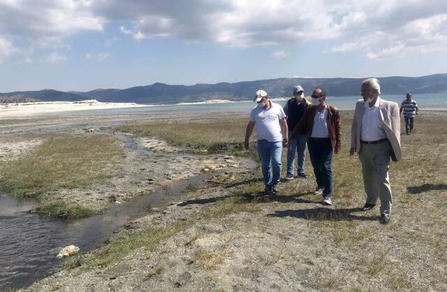 Salda Gölü'nün sarıya dönen renginin sebebinin büyükbaş hayvanlar olduğu ortaya çıktı