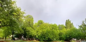 Nevşehir'de sağanak yağış sele neden oldu
