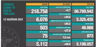 Türkiye'nin koronavirüsle mücadelesinde son 24 saatte yaşananlar