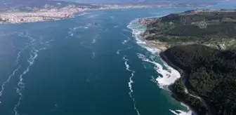 ÇANAKKALE - Tarihi Gelibolu Yarımadası sahillerindeki müsilaj yoğunluğu havadan görüntülendi