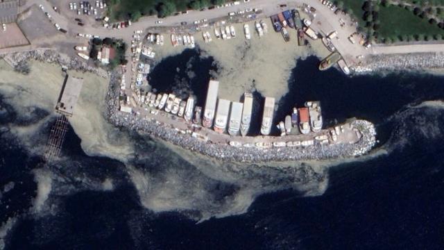 Marmara'yı katletmişti! Deniz salyası şimdi de Akdeniz'de görülüyor