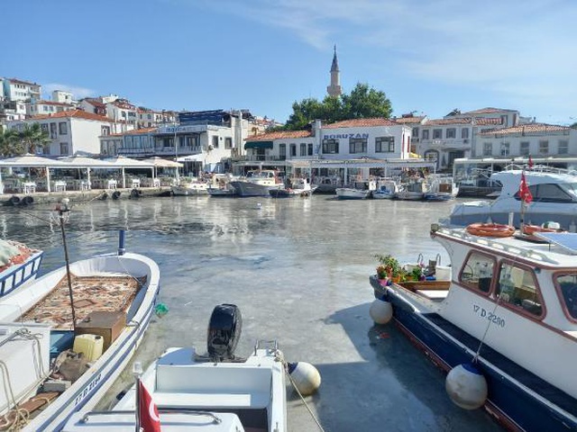 Bozcaada'daki müsilaj görüntüsü tedirgin etti Bozcaada'daki müsilaj görüntüsü tedirgin etti