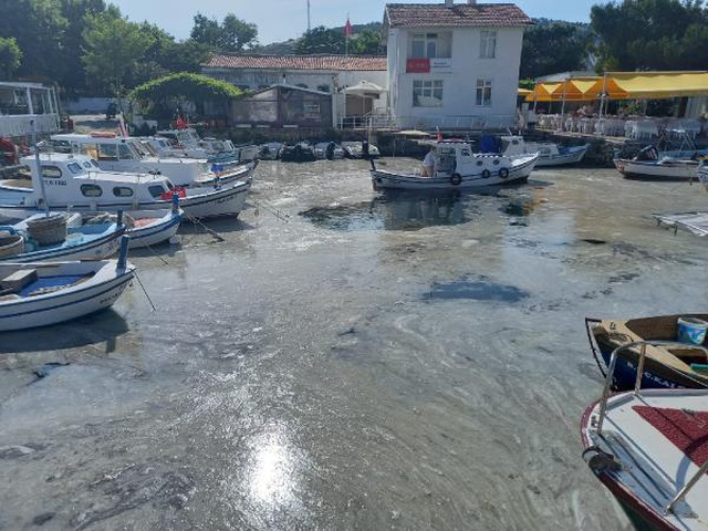 Bozcaada'daki müsilaj görüntüsü tedirgin etti Bozcaada'daki müsilaj görüntüsü tedirgin etti
