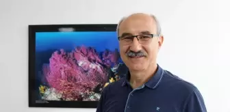 Prof. Dr. Mustafa Sarı, Marmara Denizi'ndeki müsilajın deniz canlılarına verdiği zararı değerlendirdi Açıklaması