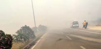 Son dakika haberi! İslahiye'de anız yangını trafiği durdurdu