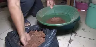 Denizli'nin altın eleyicisi altın madeni çıkartmak isteyenlere yol gösteriyor