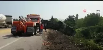 TEM Otoyolu'nda soya fasulyesi yüklü tır devrildi...Yol soya fasulyesi ile kaplandı, sıkışan sürücüyü itfaiye ekipleri kurtardı