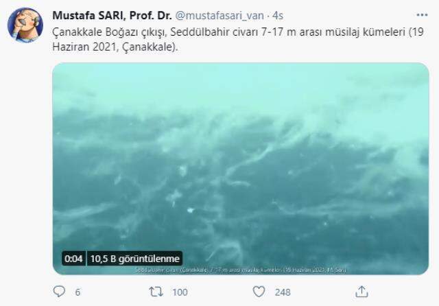 Görüntüleri Prof. Dr. Mustafa Sarı paylaştı! Marmara'yı kaplayan müsilaj Ege'ye doğru ilerliyor Görüntüleri Prof. Dr. Mustafa Sarı paylaştı! Marmara'yı kaplayan müsilaj Ege'ye doğru ilerliyor