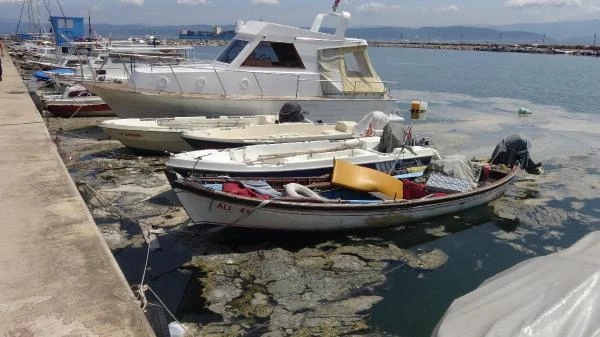 Sahili kaplayan müsilaj nedeniyle Darıca'da denize girmek yasaklandı