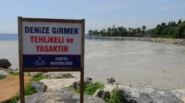 Sahili kaplayan müsilaj nedeniyle Darıca'da denize girmek yasaklandı