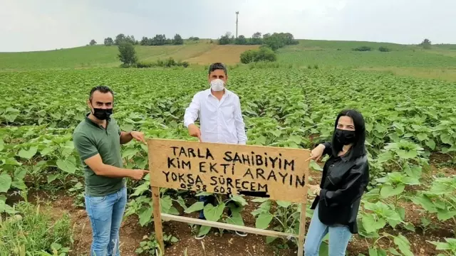 Kendisinden habersiz tarlasına başkası ekim yapınca, bu tabelayı astı: Kim ekti, arayın yoksa süreceğim Kendisinden habersiz tarlasına başkası ekim yapınca, bu tabelayı astı: Kim ekti, arayın yoksa süreceğim