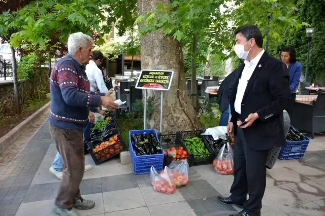 Belediyenin atıl araziye kurduğu sera gelir kapısı oldu