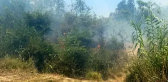 Dalaman'da cezaevi çevresi ve TİGEM arazilerinde yangın