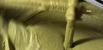 Antep fıstığının katma değerleri artıyor