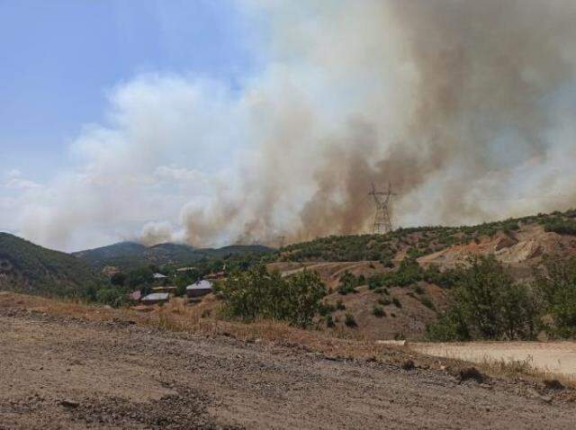 Bingöl'de 14 gün sonra aynı yerde orman yangını Bingöl'de 14 gün sonra aynı yerde orman yangını
