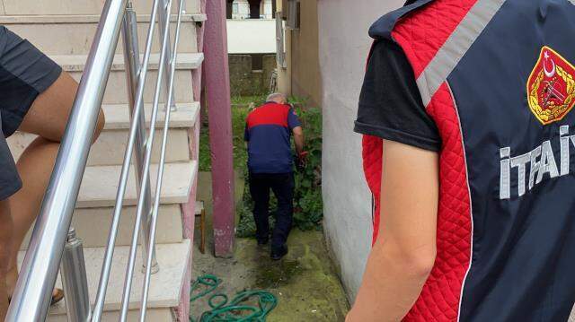 Bir anlık dikkati ailesini tehlikeden korudu! Zehirli sarı yılan, saklandığı bahçede yakalandı Bir anlık dikkati ailesini tehlikeden korudu! Zehirli sarı yılan, saklandığı bahçede yakalandı