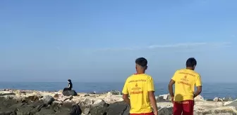 Son dakika haberleri: Karaburun'da serinlemek için denize giren çocuk ölümden döndü