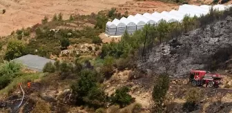 Son dakika haberi! Alanya'da çıkan orman yangını ekiplerin müdahalesiyle söndürüldü