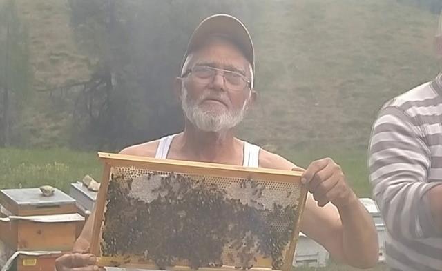 Gömleğini çıkarıp arıların arasına daldı, üstüne bunu söyledi: Arıdan korkma karıdan kork