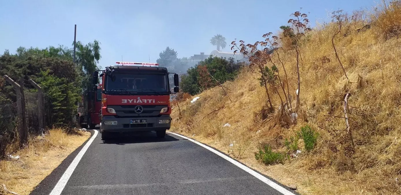 Son Dakika Haber Bodrum Da Otluk Ve Makilik Alanda Yang N Kt Son