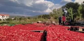 Kale ovalarında 'kırmızı' mesaisi başladı