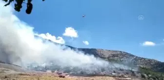 Selçuk'ta otluk alanda çıkan yangın söndürüldü