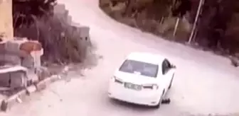 Sürücünün göz göre göre köpeğin üzerinden geçtiği anlar kamerada