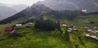 Artvin'in yaylalarında hayat hem zor hem keyifli