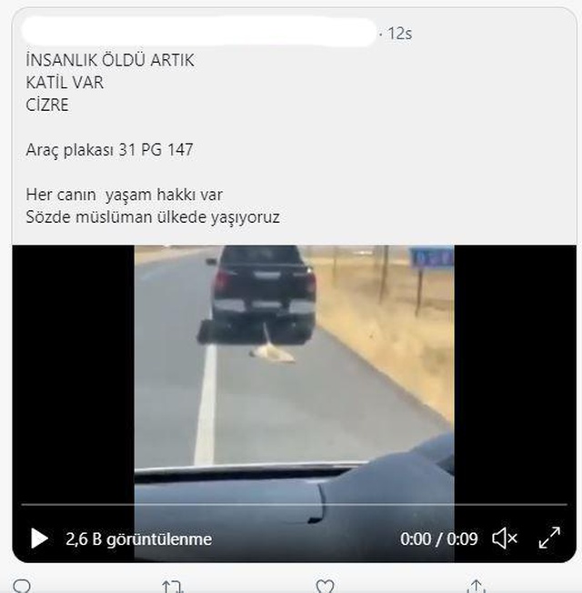 Kamyonun arkasına iple bağlanarak metrelerce sürüklenen köpeğin görüntülerine sosyal medyada tepki yağdı