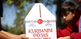 Türkiye Diyanet Vakfı 27 yılda 2 milyon 802 bin 302 hisse kurban kesti