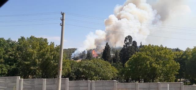 İzmir Foça'da orman yangını! Ekipler havadan ve karadan müdahale ediyor
