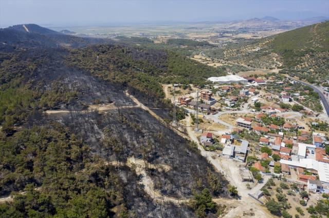 Foça'daki yangını, oyun oynayan iki çocuğun çıkardığı iddia edildi