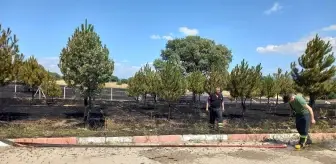 Gediz Organize Sanayi Bölgesinde 2 dekarlık otluk alan yandı